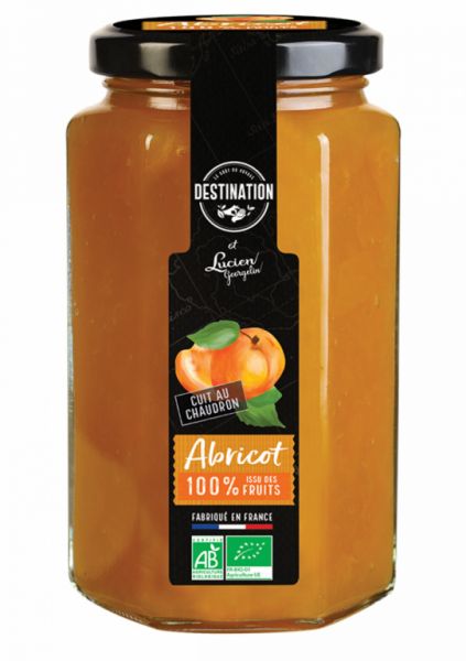 Apricot Jam 300g Bio - DESTINATION