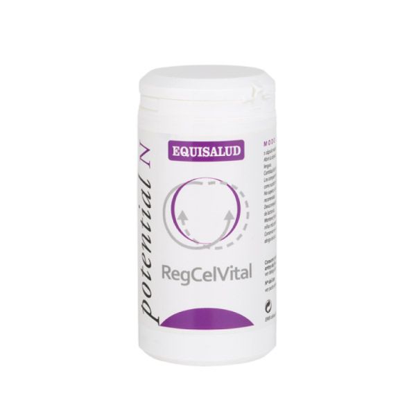 Reggelvital 60 cápsulas - EQUISALUD