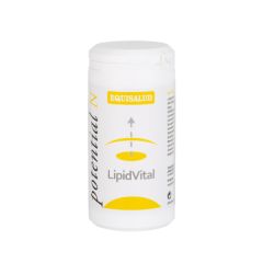 Comprar EQUISALUD Lipidvital 60 Cápsulas Por 31,45€