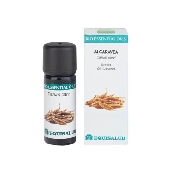 Organic Caraway Essential Oil 10 ml - EQUISALUD