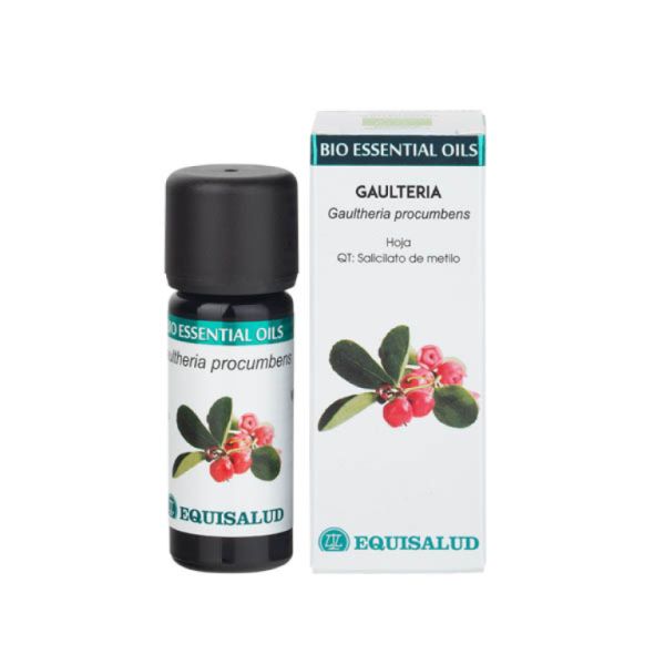 Bio ätherisches Wintergrünöl 10 ml - EQUISALUD