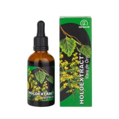 Kaufen EQUISALUD Holoextrakt Goldrute 50 ml Von 16,65€