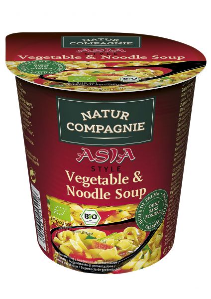 Organic Asian Style Vegetable Soup with Noodles Plate