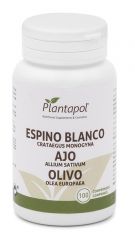 Comprar PLANTAPOL ALHO OLIVEIRA 550 mg 100 Comp Por 10,97€