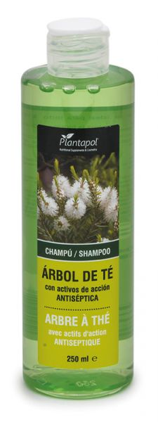 CHAMPU ARBOL DE TE CON ACTIVOS ACCION ANTISEPTICA