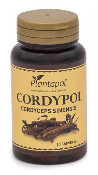 CORDYPOL 60 CÁPSULAS - PLANTAPOL