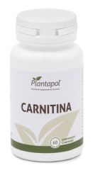 Comprar PLANTAPOL Carnitina 60 Comprimidos Por 12,46€