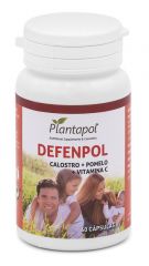 Kaufen PLANTAPOL DEFENPOL 540 mg 60 Kapseln Von 19,77€