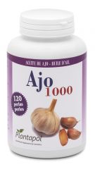 Buy PLANTAPOL GARLIC 1000 GARLIC OIL 120 PEARLS 1,400 MG By 16,25€