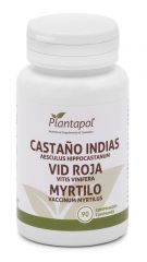 Comprar PLANTAPOL CASTANY D'ÍNDIES, VID VERMELLA I MYRTILO 90 COMPRIMID Per 13,25€