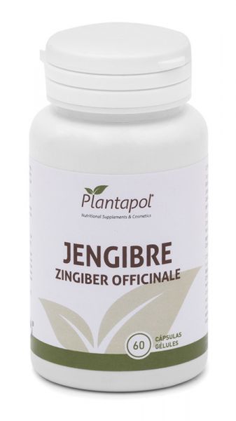 GENGIBRE 60 CÁPSULAS 600 MG - PLANTAPOL