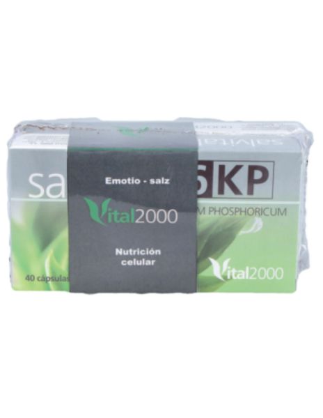 Pack de vente Salvital 6 et 11 - VITAL 2000