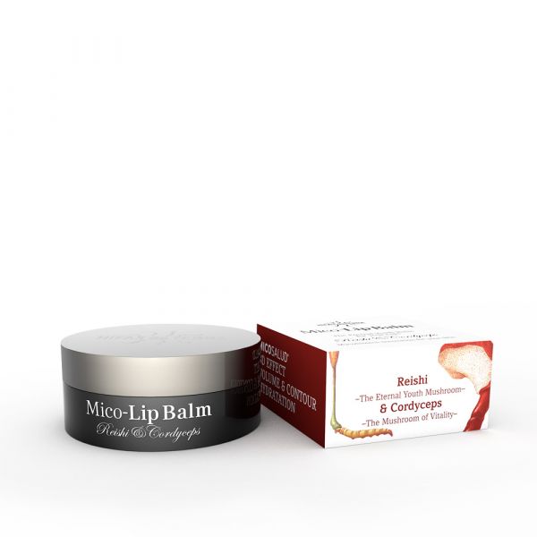 Baume à Lèvres Mico 10g - HIFAS DA TERRA