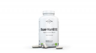 Buy HIFAS DA TERRA Blazei Murrill 180 capsules By 71,00€