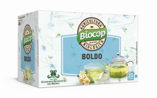 Comprar BIOCOP Boldo Infusió Giardino Botànic Per 2,98€