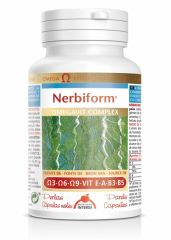 Comprar INTERSA Nerbiform 80 perlas Por 17,15€