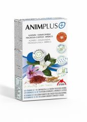 Comprar INTERSA Animplus 42 cápsulas Por 20,50€