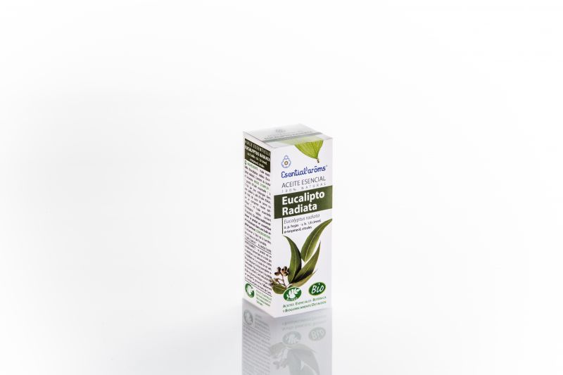 Biologische Eucalyptus Radiata etherische olie 10 ml