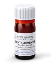 Buy ESENTIAL AROMS Arvensis Mint Essential Oil 10 ml By 7,35€