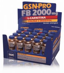 Comprar GSN GSN Pro FB 2000 20 frascos Por 41,84€