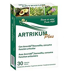 Comprar BIOSERUM Artrikum Plus 30 Caps Por 21,50€