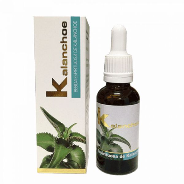 KALANCHOE 30 ml - LUMEN