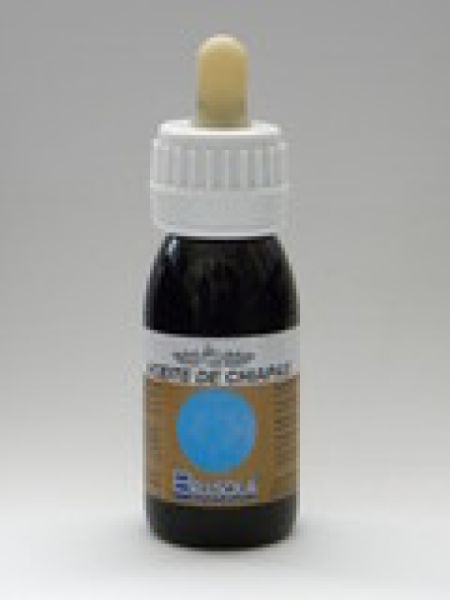 Aceite Chiapas 60 ml - BELLSOLA