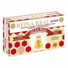 Buy ROBIS REAL QUEEN SUPER 20 Amp By 27,95€