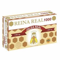 Buy ROBIS REAL QUEEN 1000mg 20 Amp By 25,94€