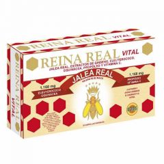 Buy ROBIS REAL QUEEN VITAL 30 Amp By 30,90€