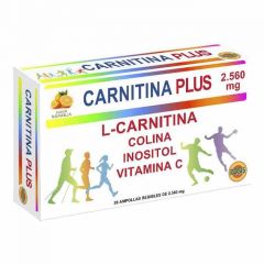 Comprar ROBIS L-CARNITINA PLUS 20 Ampolas Por 33,39€