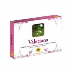 Comprar ROBIS VALERIAN 60 Comp Por 9,32€