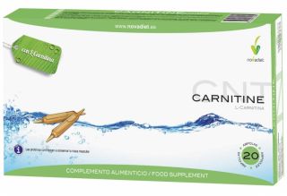 Comprar NOVADIET L-CARNITINA 20 Amp Por 19,20€