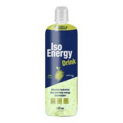 Buy VICTORY ENDURANCE Iso Energy Drink Lime 500 ml By 1,89€