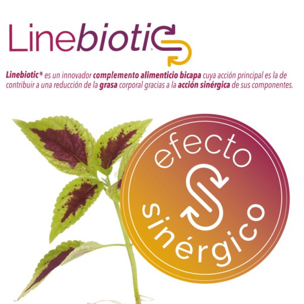 Linebiotic 60 Comprimidos - ELADIET Img 3