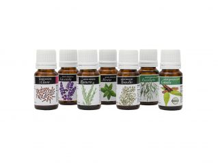 Kopen PLANTIS Sinaasappelessentie 10 ml Door 6,10€