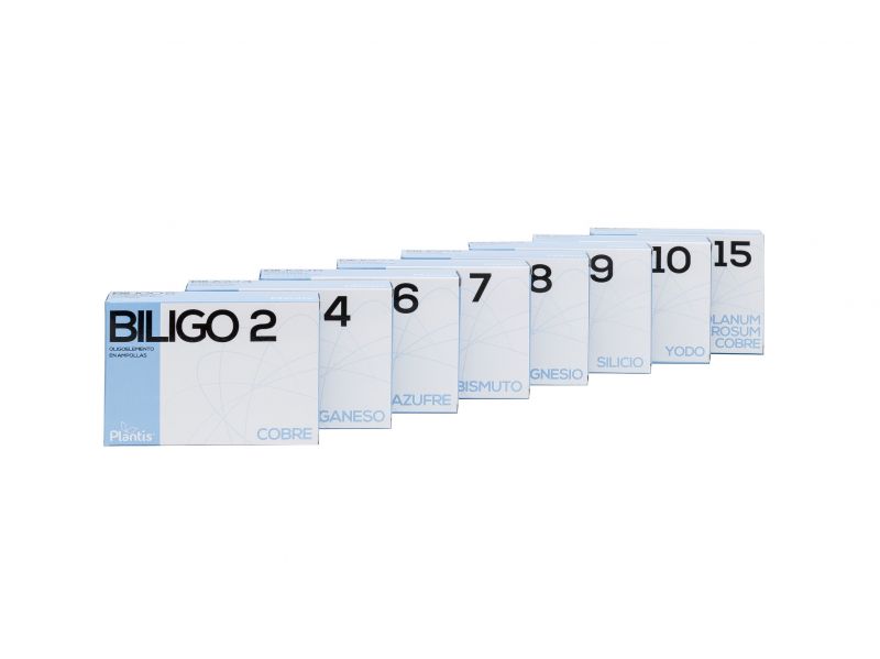 Biligo 4 Mangan 20 Ampull x 2 ml - PLANTIS