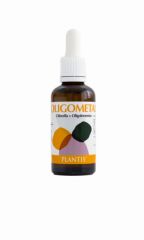 Comprare PLANTIS Traccia piante di metallo Di 9,60€