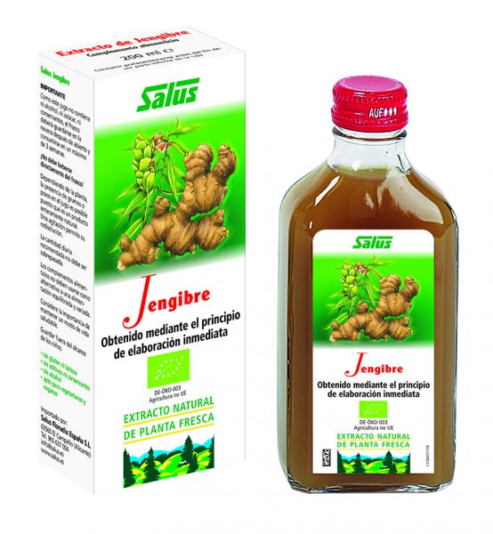 SUCCO DI ZENZERO BIOLOGICO 200 ml - SCHOENENBERG