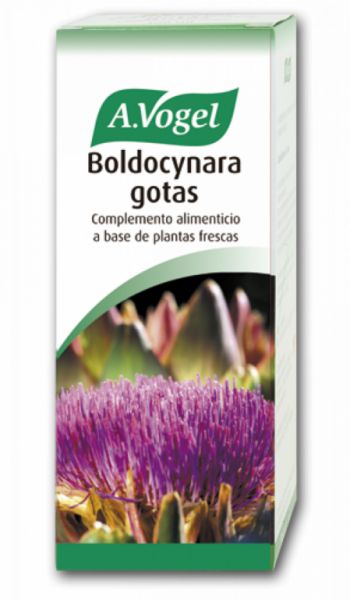 Boldocinara 100ml - A. VOGEL