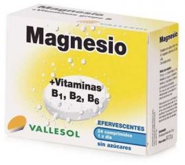 köpa VALLESOL VALLESOL MAGNESIUM+B 24Comp EFE Förbi 5,15€