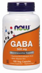 Comprare NOW GABA 500 mg 100 capsule Di 21,68€