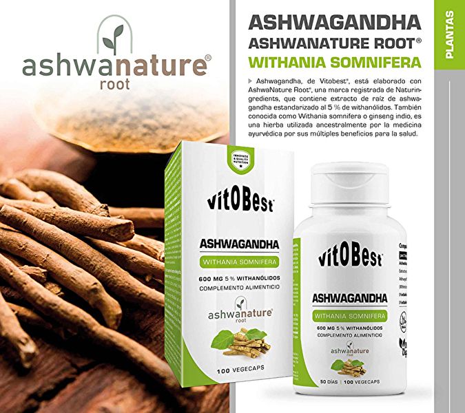 Ashwagandha 600 mg 100 cápsulas vegetais. Para estresse crônico Img 3