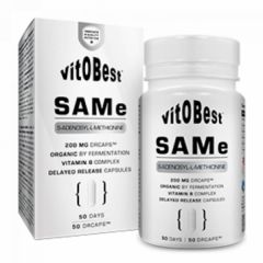 Comprar VIT.O.BEST SAME 200 mg 50 cápsulas gastrorresistentes Por 35,40€