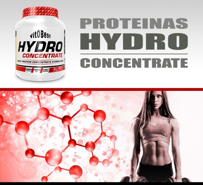 HYDRO CONCENTRATE 2LB BOLO DE MAÇÃ - Vitobest