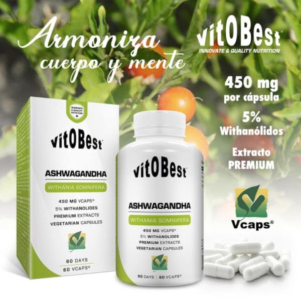 Ashwagandha 60 Cápsulas Vegetais - Vitobest Img 2