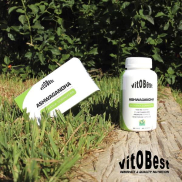 Ashwagandha 60 Capsule Vegetali - Vitobest Img 3