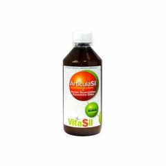 Acheter VITASIL VITASIL ARTICULASIL HE BOISSON 1 L Par 39,85€