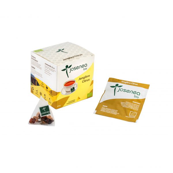 Agrumes Gingembre Bio Coffret de 10 pyramides enveloppées