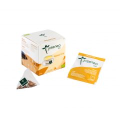 Acheter JOSENEA Coffret Masala Bio 10 pyramides enveloppées Par 4,14€